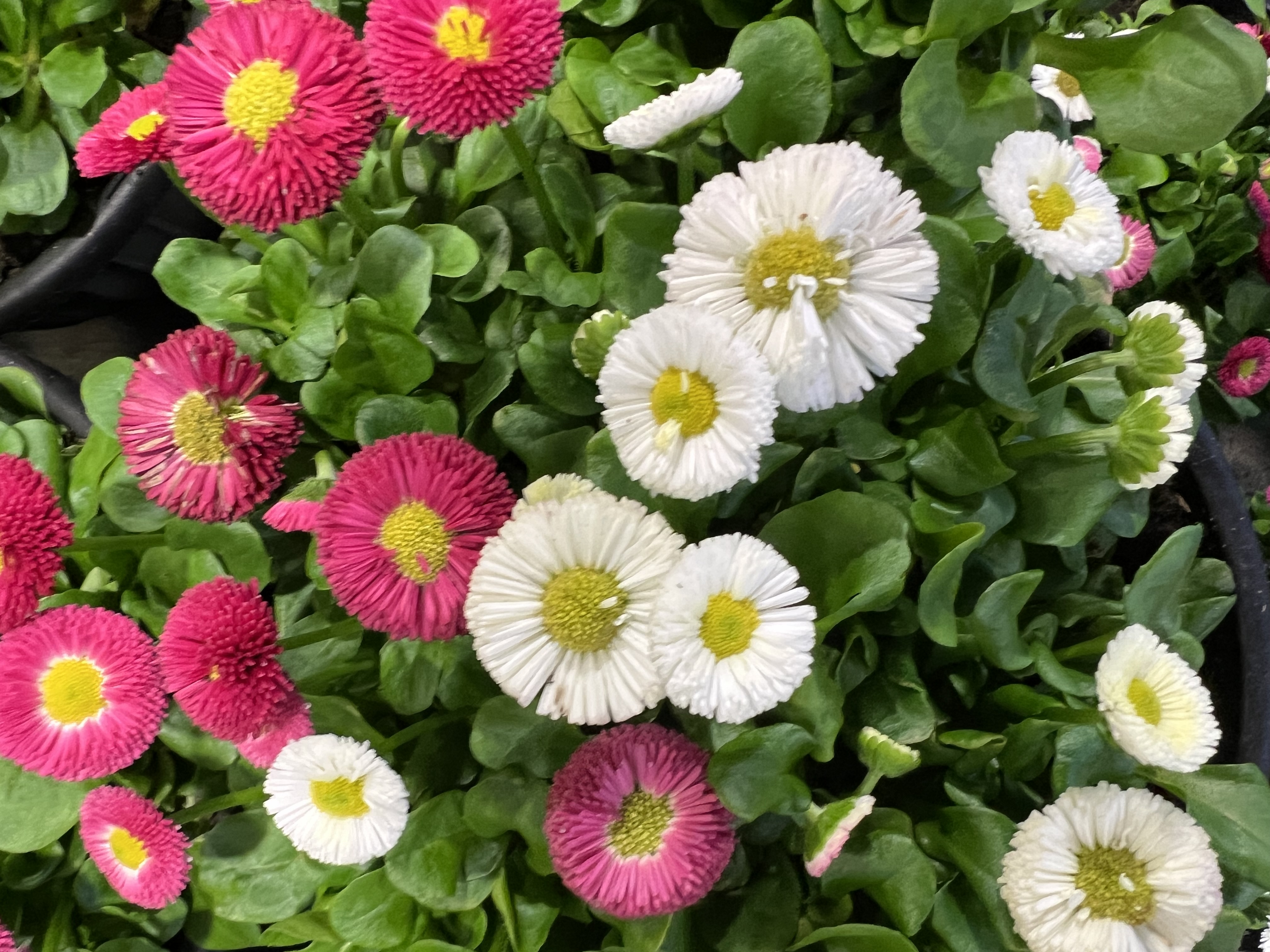 Daily sketch from Wed, Mar 04, 2026 · 5:50 PM